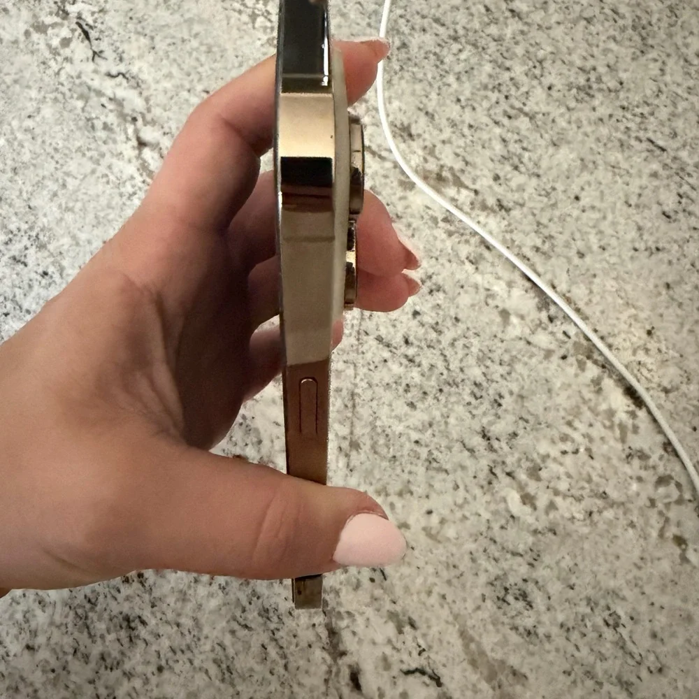 Apple iPhone 14 Pro Max in Gold
